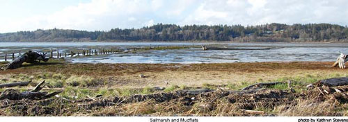 Ocean Shores fishing in Grays Harbor